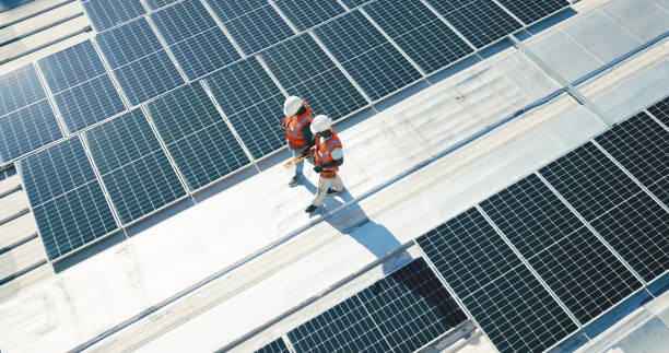 Best Roof Moss and Algae Removal  in Darmstadt, IN